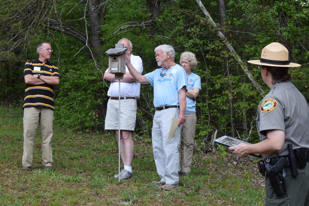 bluebird-nesting-schedule-north-carolina-bluebird-society